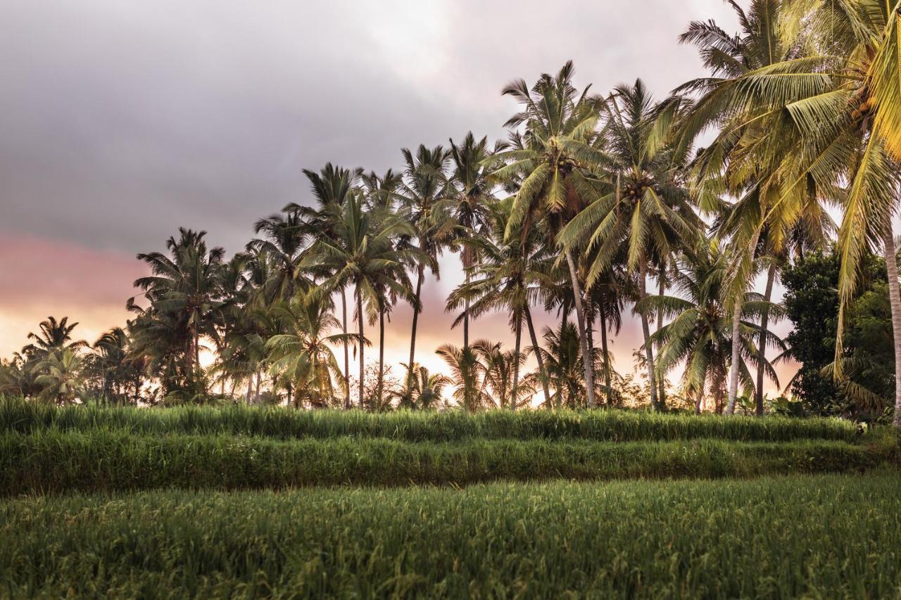 The Luxe Ubud Zewnętrze zdjęcie