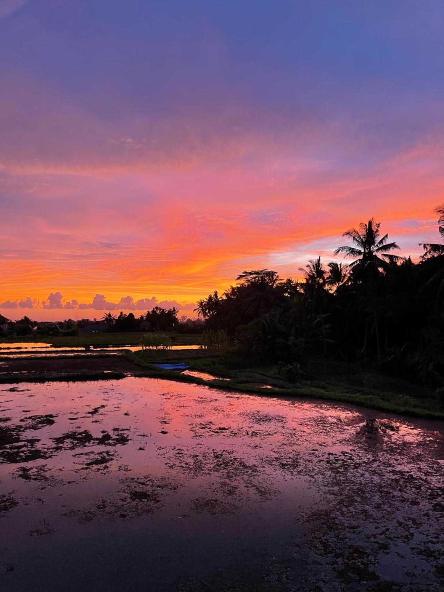 The Luxe Ubud Zewnętrze zdjęcie